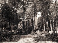Kirche Friedhof Birten  Pentax 6x7, 4.0/45, Maco PO100c/100