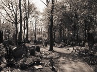 Friedhof Birten im Frühlingslicht  Pentax 6x7, 4.0/45, Maco PO100c/100