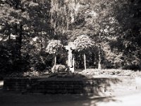 Rondell - Friedhof Alpen  Pentax 645N, 2.8/45, Rollei RPX25@25