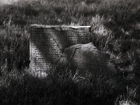 Jüdischer Friedhof in Winterswick  Pentax 6x7; 4.0/200; Delta 400 - Mai 1997 -