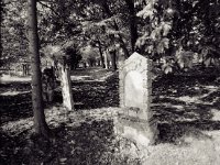 Jüdischer Friedhof, Xanten  Canham DLC 45; Super Angulon 4.5/75; Delta 400 - August 2001, 10 Uhr am Morgen -