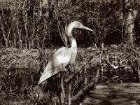 Er lächelt, die Sonne scheint  Pentax MZ-S, SMC Pentax - FA 1.9/43 Limited, Gelbfilter. ADOX CHS 100II  - 05.04.2023 -