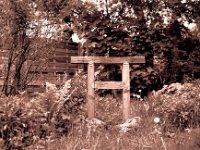 Torii mit Zaun  Fuji GW 690 III,  Ilford FP4+@100