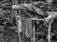 Putzlappen  PENTAX K-3 Mark III Monochrome, HD PENTAX - D FA* 1.4/50 SDM AW- 04.06..2024 -