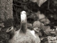 Südliche Erinnerung  PENTAX K-3 Mark III Monochrome, SMC PENTAX-FA 1.8/77 Limited - 26.04.2025 -