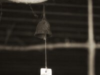 zen klang  PENTAX K-3 Mark III Monochrome, SMC PENTAX-FA 1.8/77 Limited - 26.04.2025 -