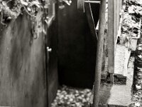 Abstreifbesen  PENTAX K-3 Mark III Monochrome, SMC PENTAX-FA 1.9/43 Limited  - 09.06.2025 -