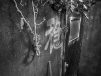 Blätter fegen angesagt  PENTAX K-3 Mark III Monochrome, HD PENTAX - DA* 2.8/16-50 ED PLM AW - 03.08.2025 -