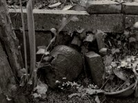 Antike Erinnerung  PENTAX K-3 Mark III Monochrome, HD PENTAX - DA* 2.8/16-50 ED PLM AW - 03.08.2025 -