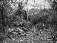 Gartenschnitt mit falschem Reiher  Fuji GW 690 III, Adox CHS 100II  - 14.November 2024-