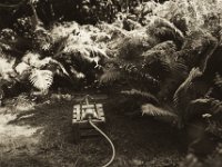 Wassersprenger in Ruhestellung  Fuji GW 690 III, Ilford Delta 100@64