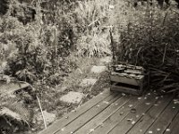 Wassersprenger geht in die Winterpause  Fuji GW 690 III, Bergger Pancro400  - 10.10.2020 - : Wassersprenger, Holzplattform, Gartenweg, Garten Erlenstraße, Weinkiste