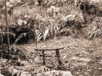 Kleines Torii im Herbst  Pentax MZ-S, SMC FA  1.9/43 Limited, Gelbfilter, Ilford HP5plus@400 - 06.11.2016 -