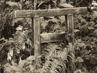 Torii  Canham DLC 45; APO Sironar-N 5.6/150, Cambo Magazin 6x7,  Bergger Pancro 400@320