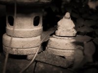 Gartenstillleben  Pentax K-1, HD Pentax DFA* 1.4/50 SDM AW  -15.06.2020 - : Stillleben, Garten Erlenstraße, Buddha, Lampion