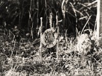 Sternchens Ruhe  Pentax 645N, SMC FA 2.8/150, Gelbfilter, Bergger Pancro400@250