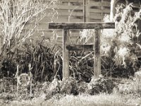 Torii  Pentax 645N, SMC FA 2.8/150, Gelbfilter, Bergger Pancro400@250