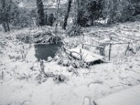 Gartenteich  PENTAX K-3 Mark III Monochrome, HD PENTAX - DA* 2.8/ 11-18 ED DC AW  - 07.01.2025 -