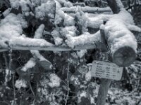 Erinnerung  PENTAX K-3 Mark III Monochrome, HD PENTAX - DA* 2.8/ 11-18 ED DC AW  - 07.01.2025 -