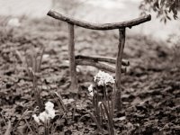 Kleines Torii  Pentax 67II, SMC 2.4/105, Gelbfilter, Fuji Acros 100II@80 - 20.04.2021 -