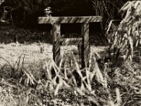 Torii  Pentax MZ-S, SMC Pentax - FA 1.9/43 Limited, Gelbfilter. ADOX CHS 100II  - 05.04.2023 -