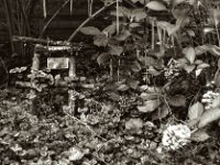 Rotas Grab  Yashica FR I, Zeiss Planar 1.4/50, ADOX CHS 100II  - 28.10.2023 -