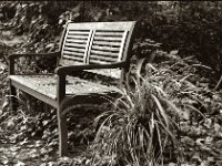 Die Gartenbank kommt jetzt in den Keller  Yashica FR I, Zeiss Planar 1.4/50, ADOX CHS 100II  - 28.10.2023 -