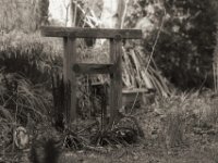 Torii und Sternchens Grab  PENTAX K-3 Mark III Monochrome , SMC Pentax-FA 1.8/77 Limited  -29.01.2024 -