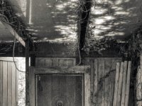 Tür zum Garten  PENTAX K-3 Mark III Monochrome , HD PENTAX - DA* 2.8/16-50 ED PLM AW   - 20.03.2024 -
