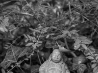 Kleiner Buddha & Schneckengehäuse  PENTAX K-3 Mark III Monochrome, HD PENTAX - FA 1.9/43 Limited - 27.04.2024 -