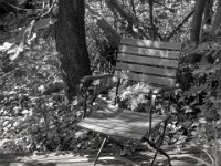 Stuhl und Klotschen  PENTAX K-3 Mark III Monochrome, SMC PENTAX-FA 1.8/31 Limited   -09.05.2024 -