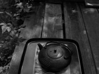 Grüne Teezeit  PENTAX K-3 Mark III Monochrome, HD PENTAX - DA* 2.8/ 11-18 ED DC AW  - 18.05.2024 -