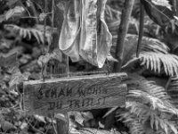Putzlappen  und Hinweis  PENTAX K-3 Mark III Monochrome, HD PENTAX - D FA* 1.4/50 SDM AW- 04.06..2024 -