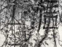 Kanji  am Garteneingang  PENTAX K-3 Mark III Monochrome, SMC PENTAX-FA 1.9/43 Limited   - 04.08.2024 -