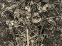 Kompost  PENTAX K-3 Mark III Monochrome, SMC PENTAX-FA 1.8/77 Limited - 31.08..2024 -