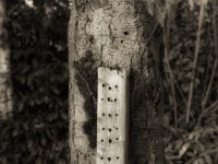 Insektenhotel  PENTAX K-3 Mark III Monochrome, SMC PENTAX-FA 1.8/31 AL Limited  - 24.11.2024 -