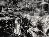 Putzlappen  Pentax 6x7, Takumar SMC 4.5/75, Fuji Acros 100II   - 04.06.2024 -