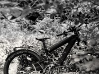 Das Rad im Garten  Pentax 6x7, Takumar SMC 4.5/75, Fuji Acros 100II   - 01.06.2024 -