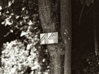 N° 14  Pentax 645N, SMC FA 2.8/75, ADOX CHS100 II   - 06.09.2024 -