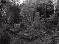 Gartenbank im Herbst  Pentax 6x7, SMC Takumar 3.5/55, Kodak Tri-X 400   - 20.10.2024 -