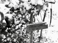 Schau wohin ....  PENTAX K-3 Mark III Monochrome, SMC PENTAX-FA 1.8/31 AL Limited  - 05.01.2025 -