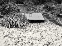 Schneeplattform  PENTAX K-3 Mark III Monochrome, SMC PENTAX-FA 1.8/31 AL Limited  - 05.01.2025 -