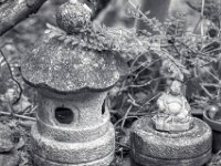 Ruhig Sitzen  PENTAX K-3 Mark III Monochrome, HD PENTAX - D FA* 2.8/70-200 ED DC AW  - 19.01.2025 -