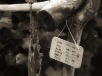 Erinnerung  PENTAX K-3 Mark III Monochrome, Pentax Takumar/Bayonett 2.5/135 - 25.04.2025 -