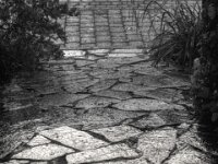Aufgang Vorgarten  PENTAX K-3 Mark III Monochrome, HD PENTAX - D FA* 1.4/50 SDM AW - 02.08.2025 -