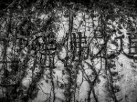 Verborgene Kanji  PENTAX K-3 Mark III Monochrome, HD PENTAX - DA* 2.8/16-50 ED PLM AW - 03.08.2025 -