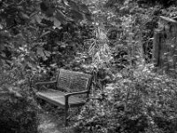 Gartenbank  PENTAX K-3 Mark III Monochrome, HD PENTAX - DA* 2.8/16-50 ED PLM AW  - 18.09.2025 -
