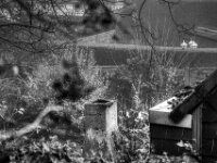 Blick aus dem Fenster  PENTAX K-3 Mark III Monochrome, SMC PENTAX-FA 1.8/77 Limited  - 20.12.2025 -