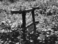 Brüderchens Ruhe  Pentax K2, SMC PENTAX-FA 1.9/43 Limited, ADOX CHS 100 II  -11.04.2025 -