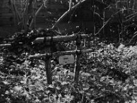 Rotas Ruhe  Pentax K2, SMC PENTAX-FA 1.9/43 Limited, ADOX CHS 100 II  -11.04.2025 -